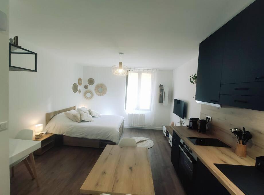 Annecy Vieille Ville, Superbe Appartement Au Calme Esterno foto